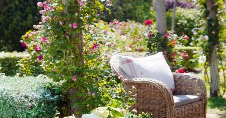 Estilo y hogar: Semillas para sembrar en mi jardín.